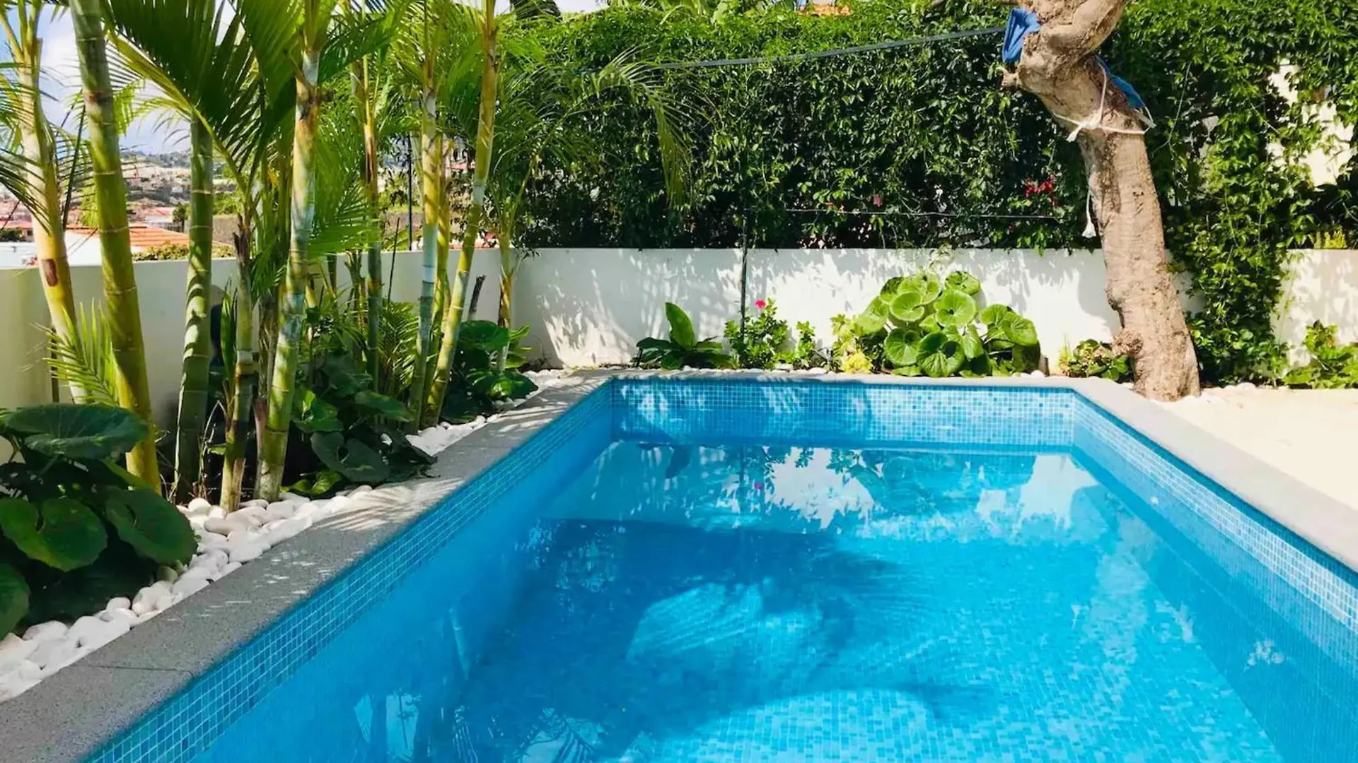 Casa Rochinha By An Island Apart Funchal  Portugal